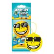 AREON SMILE DRY SUMMER DREAM OTO ARAÇ KOKUSU resmi