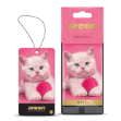 AREON WILD SWEET KITTY OTO ARAÇ KOKUSU resmi